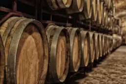 Whisky maturing in barrels